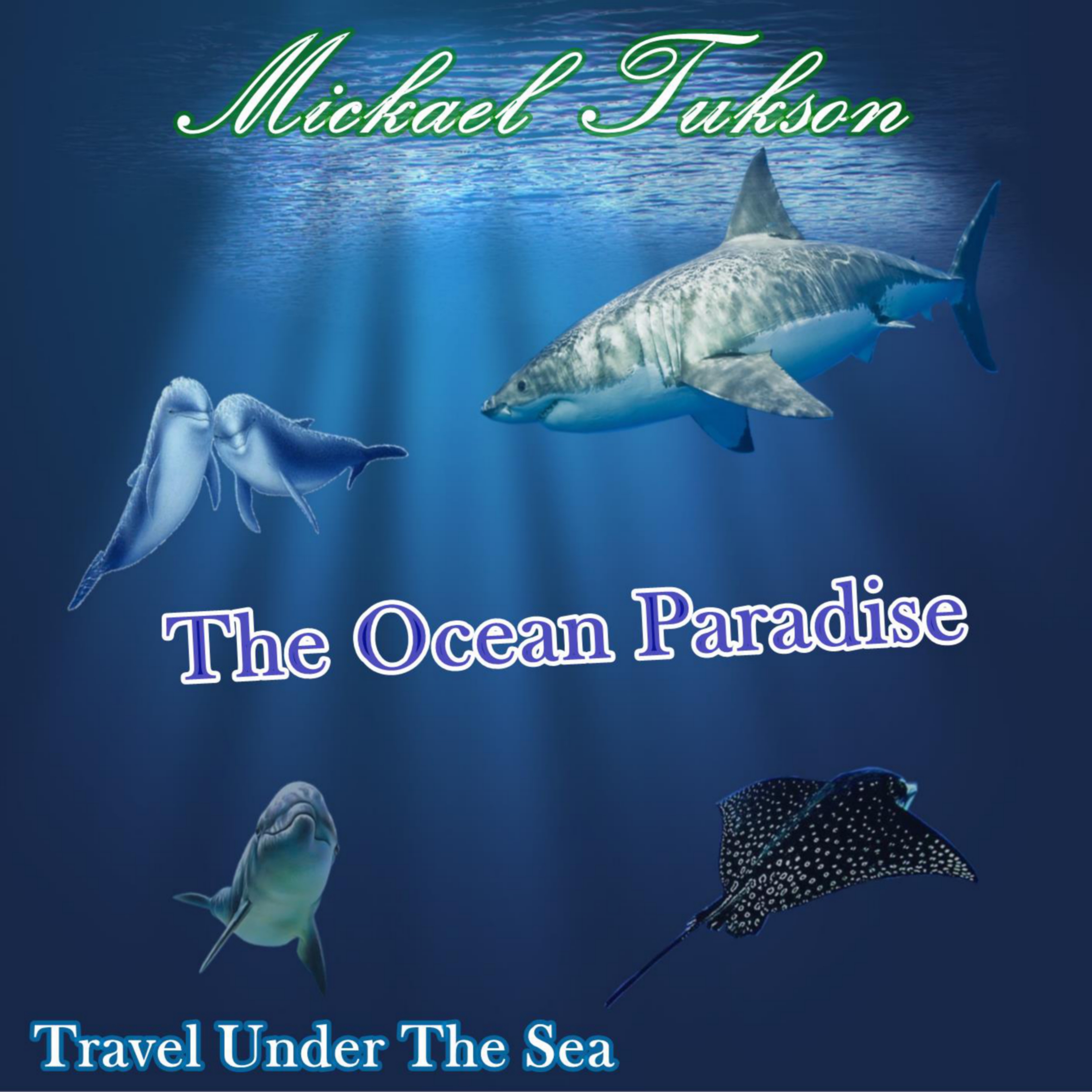 Pochette avant — The Ocean Paradise